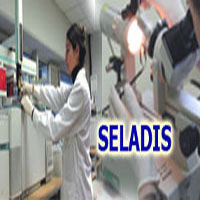 $imagenins.getAttribute(